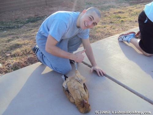 Residential Treatment Centers | Colorado